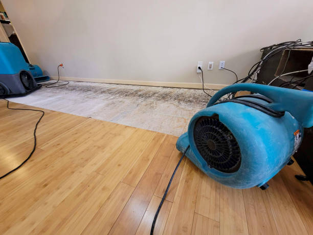 Professional Water Damage Repair technician working in Troy, ME
